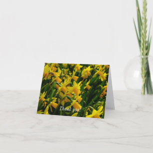 Tarjeta De Agradecimiento Familia De Daffodils