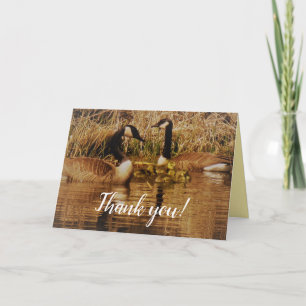 Tarjeta De Agradecimiento Familia de Gansos de Canadá Bebés Adorables Goslin