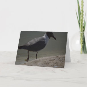 Tarjeta De Agradecimiento Fancy Seagull Notecard