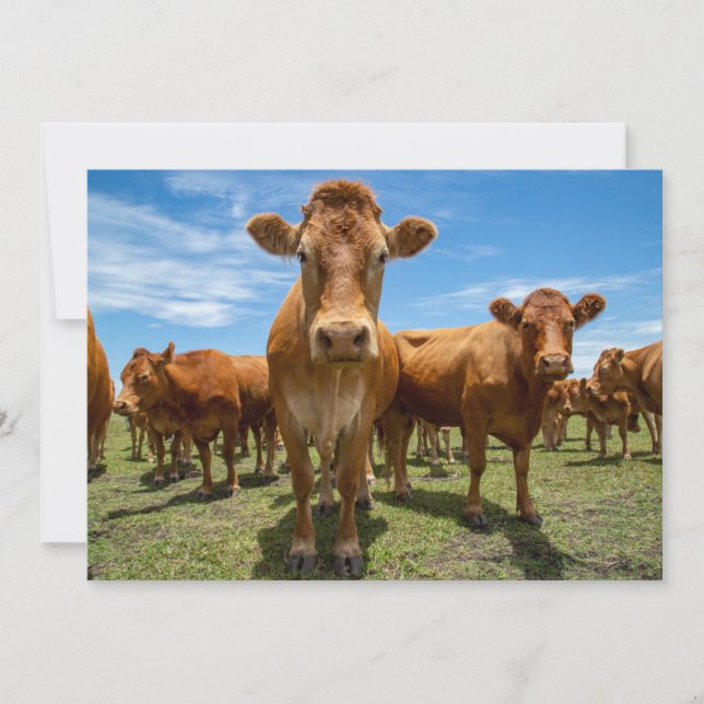 Tarjeta De Agradecimiento Farms | Brown Cow Group (Anverso)