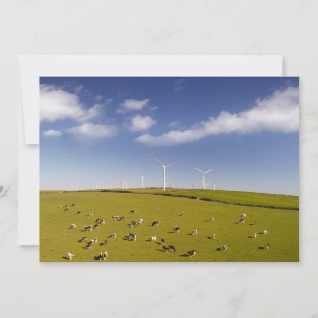 Tarjeta De Agradecimiento Farms | Cows Near Windmill Farm (Anverso)