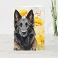 Felices tortas de oro de Tervuren Dog en Bélgica