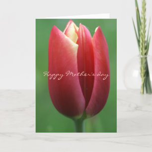 Tarjeta De Agradecimiento Feliz día de la madre