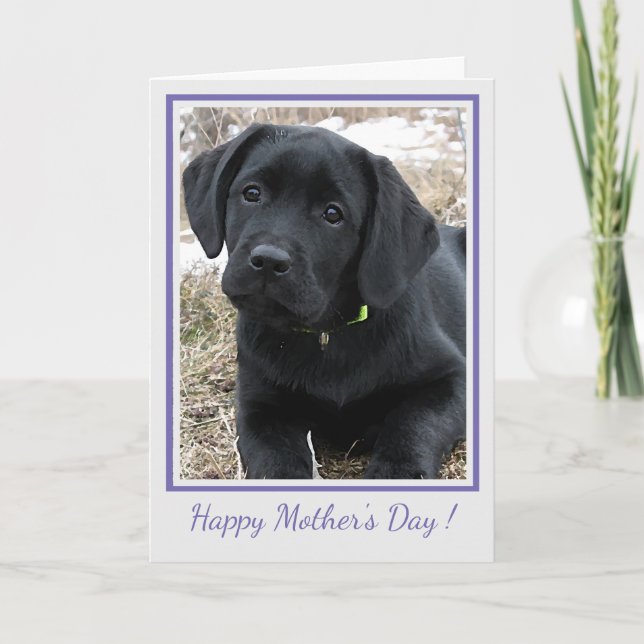 Tarjeta De Agradecimiento Feliz Día de la Madre Labrador Negro - Perro de ca (Anverso)