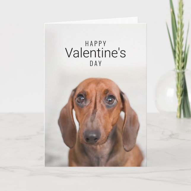 Tarjeta De Agradecimiento Feliz Día de San Valentín| Cara de perro| Agregar  (Anverso)