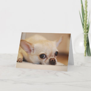 Tarjeta De Agradecimiento Feliz Día de San Valentín   Cara de perro   Añadir