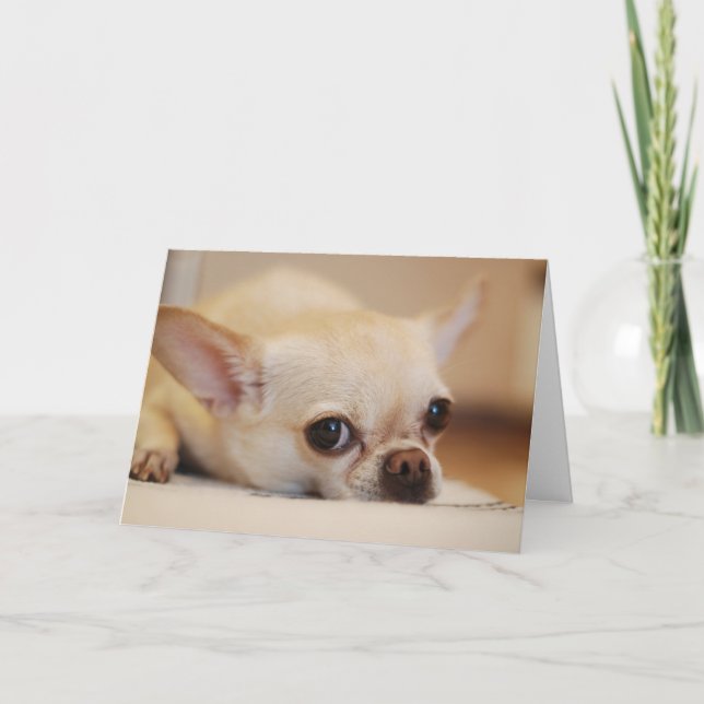Tarjeta De Agradecimiento Feliz Día de San Valentín | Cara de perro | Añadir (Anverso)