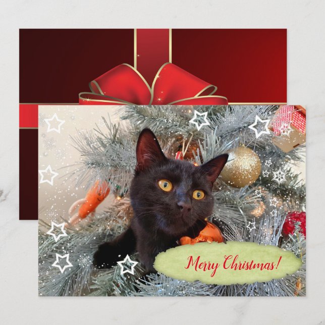 Tarjeta De Agradecimiento Feliz Navidad a los gatos negros (Anverso / Reverso)