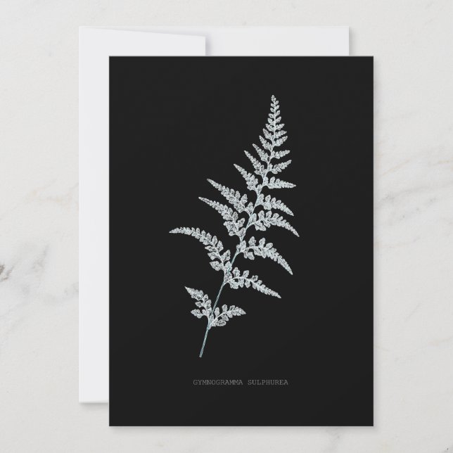 Tarjeta De Agradecimiento Fern - Gymnogramma Sulphurea - Efecto de rayos X - (Anverso)