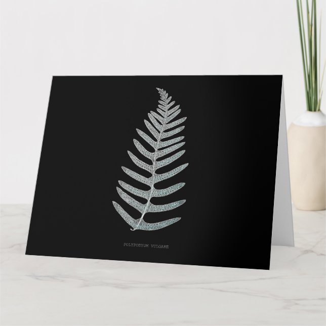 Tarjeta De Agradecimiento Fern - Vulgare de polipodio - Efecto de rayos X -  (Anverso)