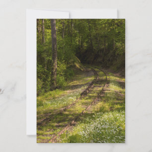Tarjeta De Agradecimiento Ferrocarril Abandonado En Un Bosque