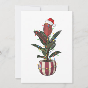 Tarjeta De Agradecimiento Ficus Planta Santa Sombrero Luces de Navidad  