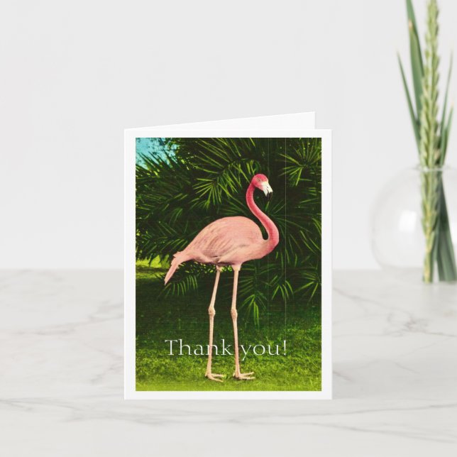 Tarjeta De Agradecimiento Flamingo rosa hermoso (Anverso)