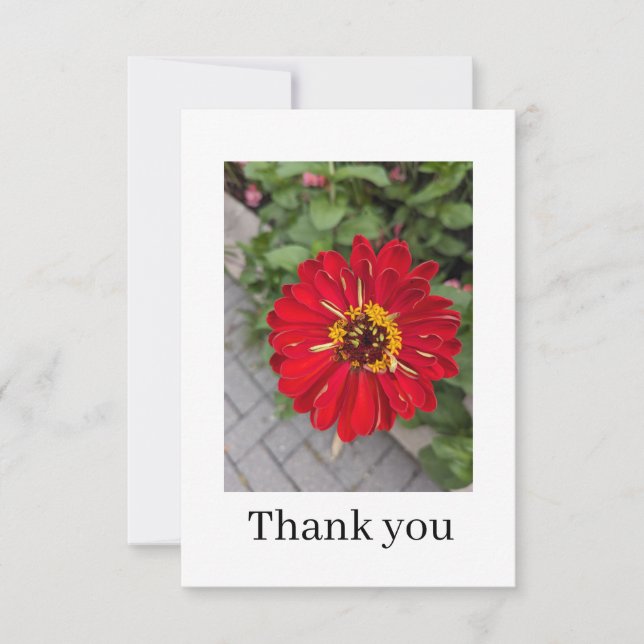 Tarjeta De Agradecimiento Flat Thank You Card (Anverso)