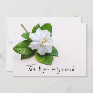 Tarjetas Gardenias Blancos 