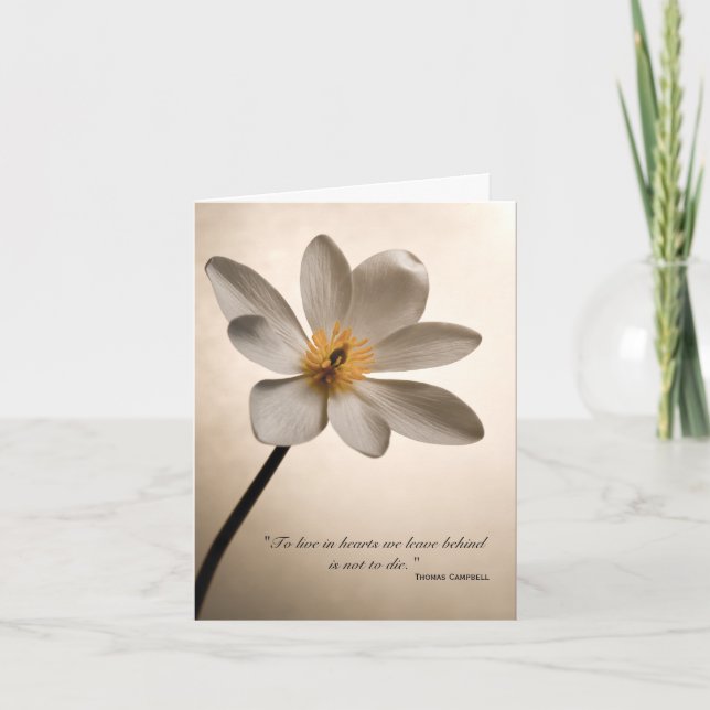 Tarjeta De Agradecimiento Flor blanca gracias por tus condolencias (Anverso)