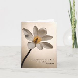Tarjeta De Agradecimiento Flor blanca gracias por tus condolencias