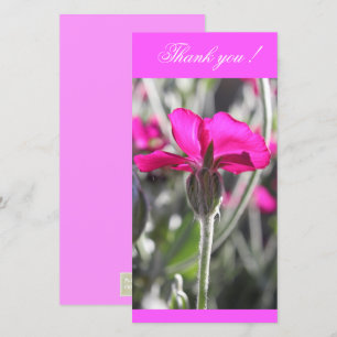 Tarjeta De Agradecimiento Flor Bright Pink Dusty Miller