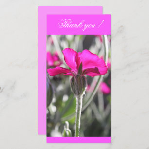 Tarjeta De Agradecimiento Flor Bright Pink Dusty Miller