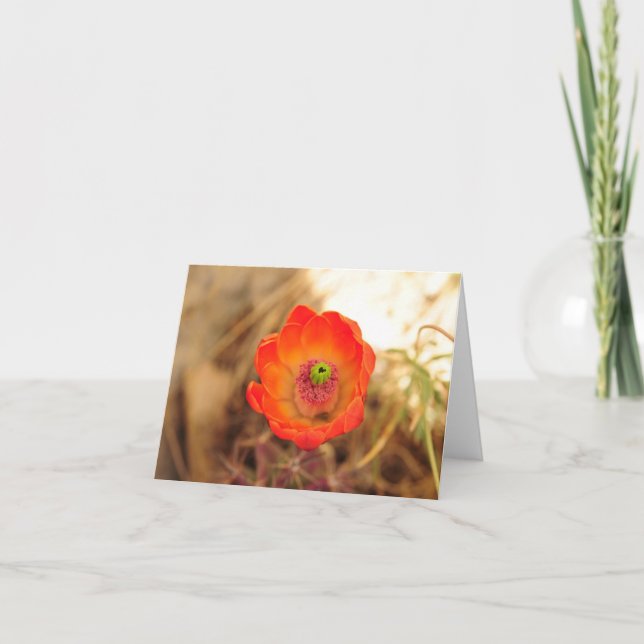 Tarjeta De Agradecimiento Flor de Cactus (Anverso)