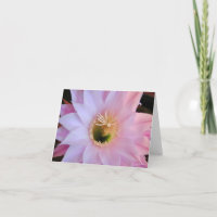 Flor de cactus de Michelle