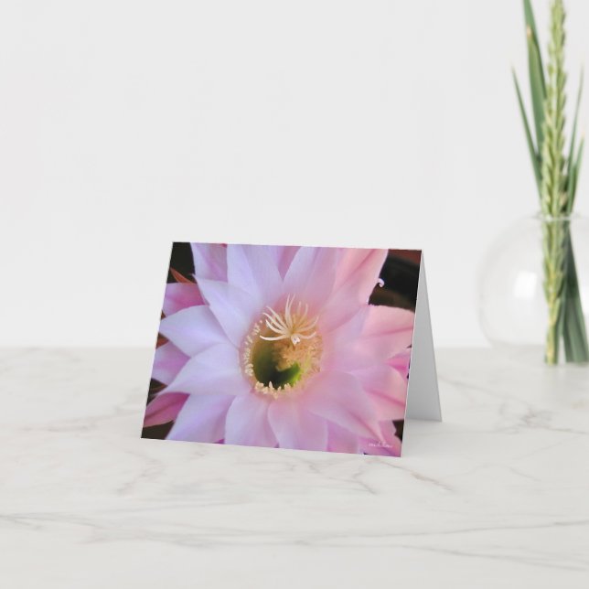 Tarjeta De Agradecimiento Flor de cactus de Michelle (Anverso)