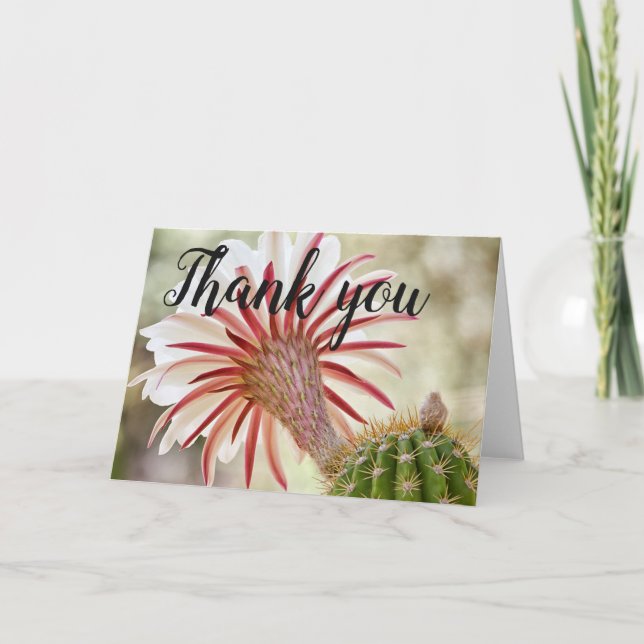 Tarjeta De Agradecimiento Flor de cactus flor nocturna gracias (Anverso)