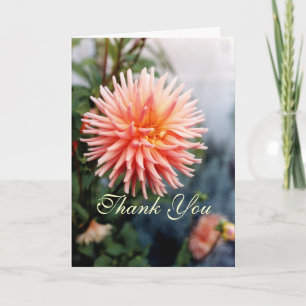 Tarjeta De Agradecimiento Flor de Dahlia deslumbrante