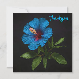 Tarjeta De Agradecimiento Flor de Hibisco Azul Sobre Negro, 