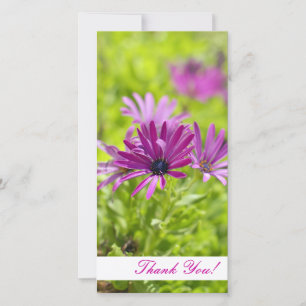 Tarjeta De Agradecimiento Flor de margarita morada Gracias