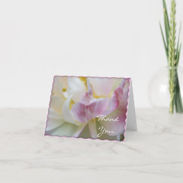 Tarjeta De Agradecimiento Flor de tulipano rosa y blanca gracias