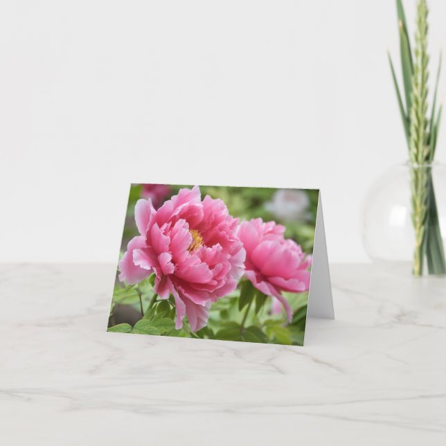 Tarjeta De Agradecimiento Flor en blanco de peones rosados florales (Anverso)