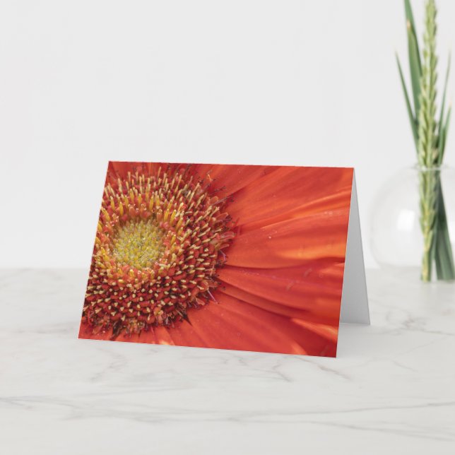 Tarjeta De Agradecimiento Flor en blanco Notecard (Anverso)