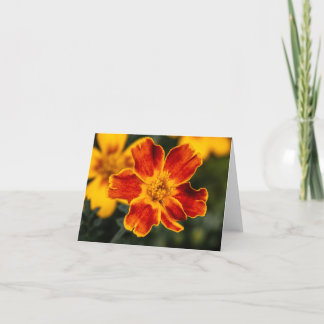 Tarjeta De Agradecimiento Flor en blanco Notecard