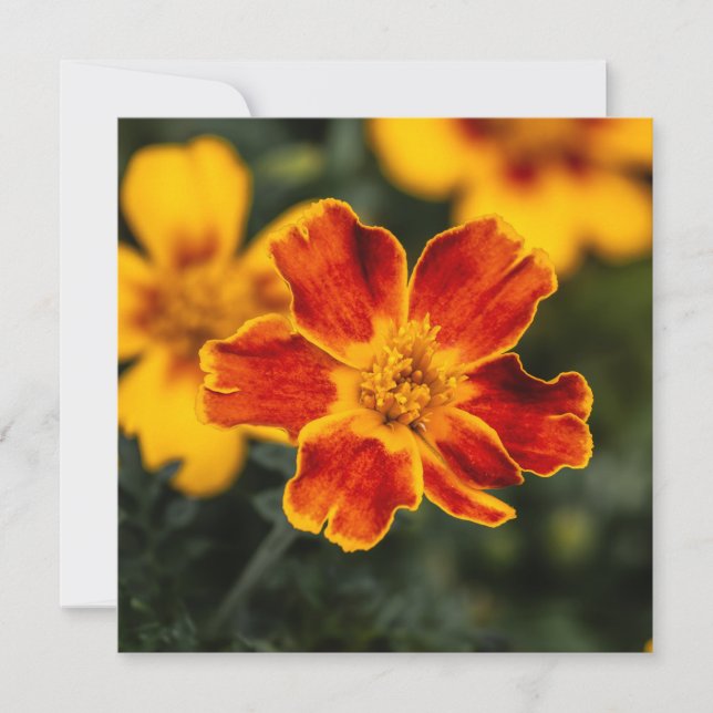 Tarjeta De Agradecimiento Flor Gracias (Anverso)