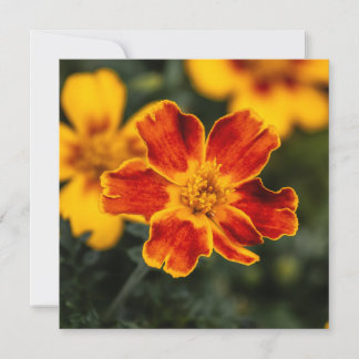 Tarjeta De Agradecimiento Flor Gracias