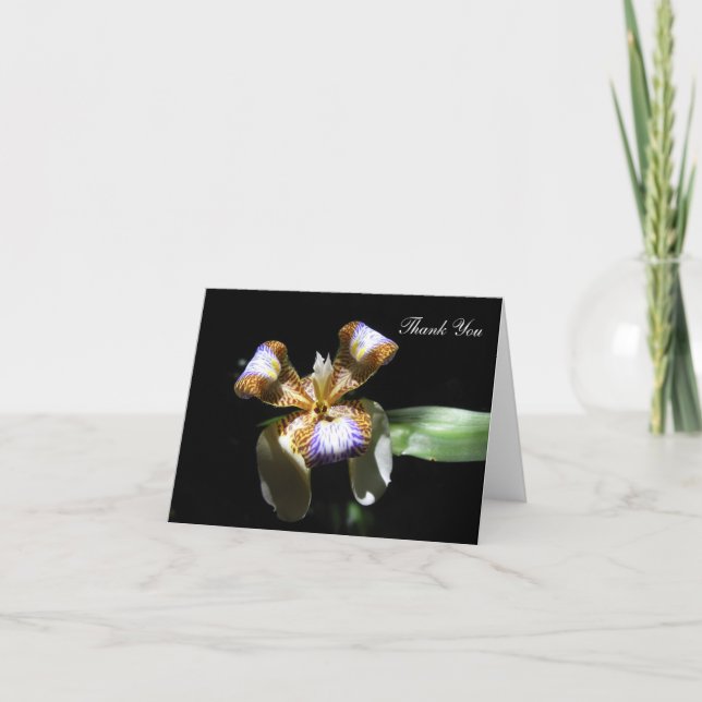Tarjeta de agradecimiento - Flor Iris sobre fondo  (Anverso)