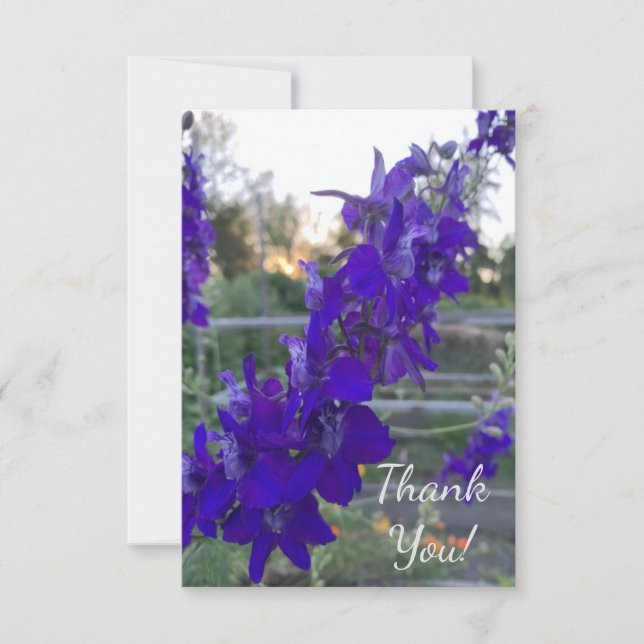 Tarjeta De Agradecimiento Flor morada al atardecer (Anverso)