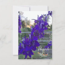 Flor morada al atardecer