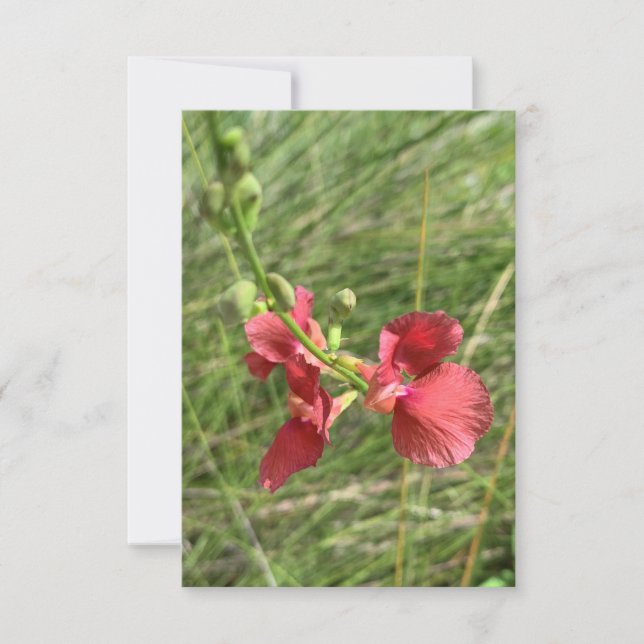 Tarjeta De Agradecimiento Flor Notecard (Anverso)