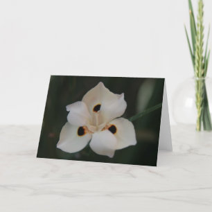 Tarjeta De Agradecimiento flor pequeña