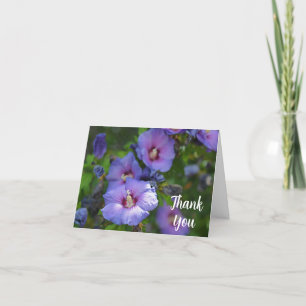 Tarjeta De Agradecimiento Flor Purple Hibiscus Garden