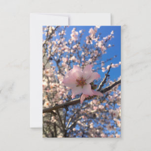 Tarjeta De Agradecimiento Flor rosa de almendra
