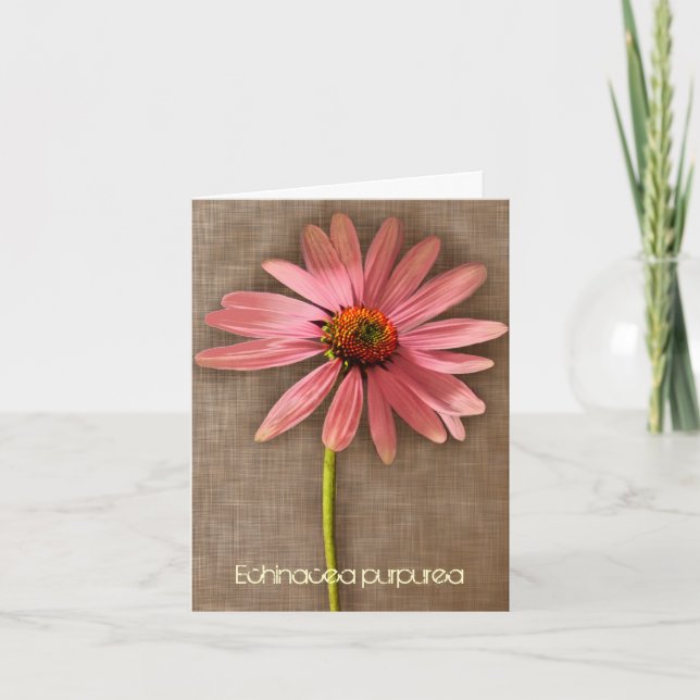 Tarjeta De Agradecimiento Flor rosa Echinacea purpurea Gracias (Anverso)