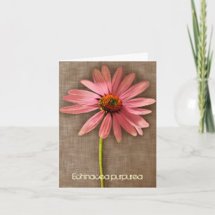 Tarjeta De Agradecimiento Flor rosa Echinacea purpurea Gracias