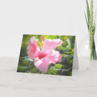 Tarjeta De Agradecimiento Flor rosa hibiscus