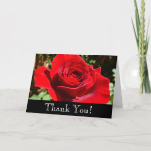 Tarjeta De Agradecimiento Flor rosa roja brillante hermosa flor