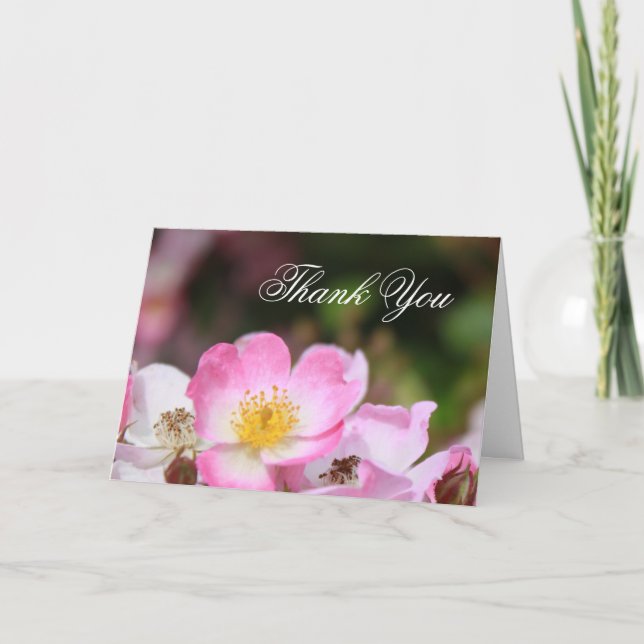 Tarjeta De Agradecimiento flor rosa silvestre rosa bonito gracias cartas (Anverso)