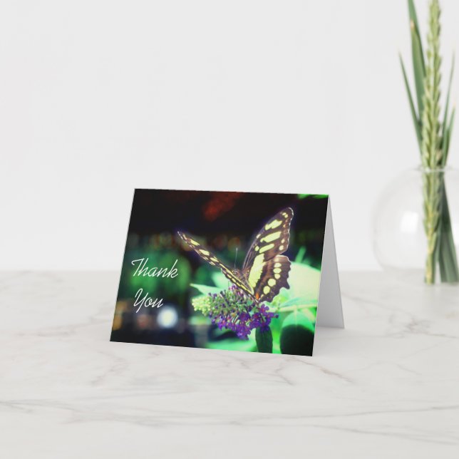 Tarjeta De Agradecimiento Flor suave en la naturaleza de las flores gracias  (Anverso)