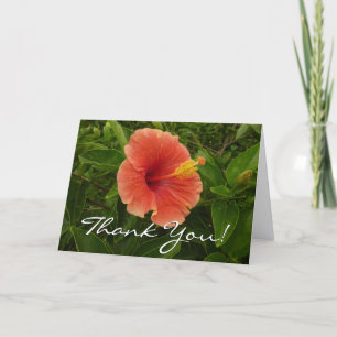 Tarjeta De Agradecimiento Flor Tropical de Hibisco Naranja